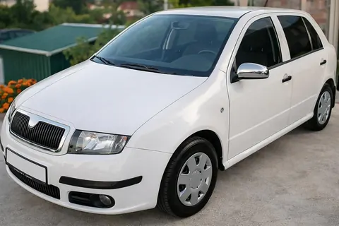 Накладки на дзеркала 2006-2026 (2 шт, нерж.) для Skoda Fabia рр — Skoda Fabia 2000-2007 гг. DianaParts