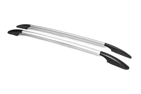 Рейлінги OmsaLine Solid (2 шт, сірі) для Ford Fusion 2002-2009 рр — Ford Fusion 2002-2009 гг. DianaParts