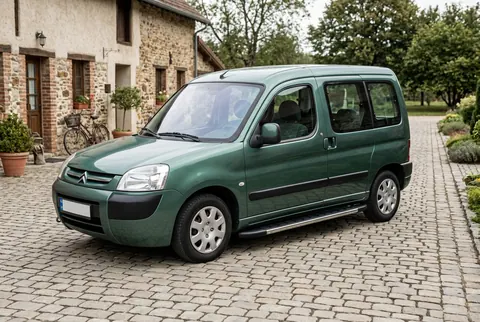Бокові пороги Duru (2 шт., алюміній) для Citroen Berlingo 1996-2008 рр — Citroen Berlingo 1996-2008 гг. DianaParts