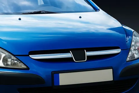 Накладки на решітку (2001-2005, 2 шт, нерж) для Peugeot 307 рр — Peugeot 307 2001-2008 гг. DianaParts