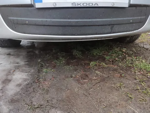 Зимова накладка на решітку (нижня) Глянцева для Skoda Octavia II A5 2010-2013 рр — Skoda Octavia II A5 2010-2013 гг. DianaParts