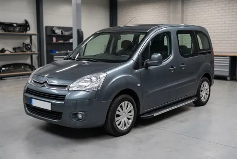 Бокові пороги Duru (2 шт., алюміній) для Citroen Berlingo 2008-2018 рр — Citroen Berlingo 2008-2018 гг. DianaParts