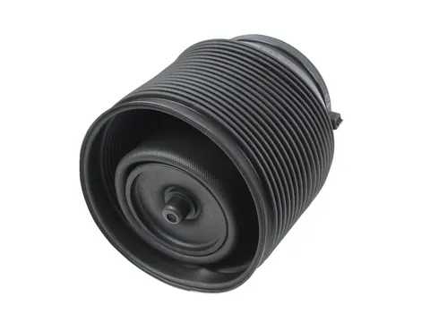Пневматическая рессора задняя левая toyota land cruiser prado 02-10, 4809035011 — STAUTO_RRP DianaParts