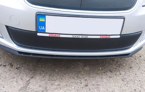 Зимова накладка на решітку (2011-2014, нижня) Матова для Skoda Roomster рр — Skoda Roomster 2006-2015 гг. DianaParts